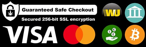 Secure Checkout Pay by Visa MasterCard Western Union Cash Bitcoin or Bank Transfer