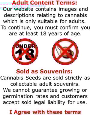You must be over 18 to use our website and cannabis seeds are sold strictly as souvenirs