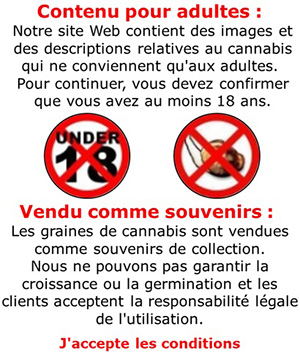 Graines de cannabis vendues comme souvenirs sans garantie de taux de croissance ou de germination